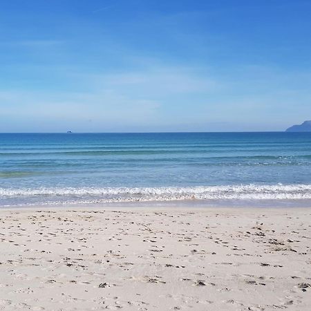 Ideal Property Mallorca - Delicias Alcúdia Kültér fotó